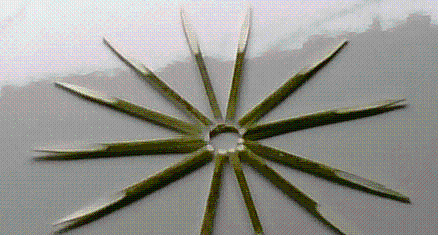 福建省浦城縣華興餐具廠 匠心打造“新黑文字”牙簽，品味生活的精致細節